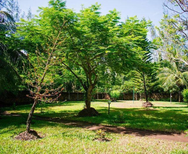 Kijani Cottages Diani Diani Beach Exterior photo